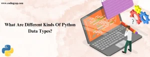 Python Data Types: Complete Guide With Examples & Use Cases